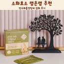 소화로 | 소화효소 랩온랩 추천 탄수화물컷팅제 섭취 후기