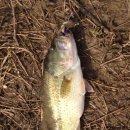 광신대교 이미지