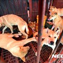 황구건강원 이미지