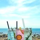 제주돌돌