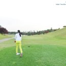 태광컨트리클럽 | [경기도/용인] 태광 CC - 북/서 야간 라운딩 후기