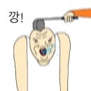 안양신기초등학교 | 202508