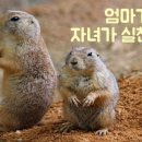 공터영어학원 이미지