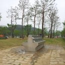 인삼골오토캠핑장 이미지