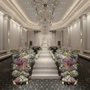 벨라 모먼트 이미지