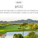 솔라고CC 라고 이미지