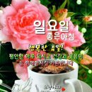 8월11일 필연 &덕담&소금 이미지