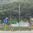 샬롬장식 | [도시를 떠난 여행] -1 단양 2박3일 여행 코스 추천 (단양 샬롬펜션/이끼터널/고수대교/구경시장)