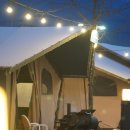 옥룡동 주민센터 | 애견과 함께하는 특별한 여행, 충남 애견동반 글램핑장 파크오브드림