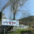 가창로 | [가창닭갈비 맛집] 애견동반 가능한 닭갈비맛집 '달송' 솔직후기/감자전맛집