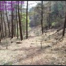 양동초등학교고송분교장 이미지