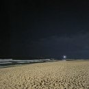 파인리조트 | [강릉] 라카이 샌드파인 리조트 내돈내산 후기 / 트리오 6인 숙박