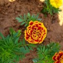 문기지역아동센터 이미지