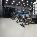 엘리트복싱클럽 이미지