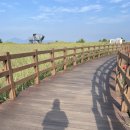 사하구 강변대로 이미지