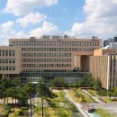 동북아행정사무소 이미지