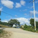 진부령막국수 이미지