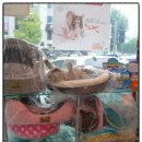 신천동물병원 이미지