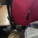 한국태권도아카데미 | [독일 교환] 18. 스위스 글라루스에서