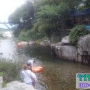 엄씨네농장 네이버블로그
