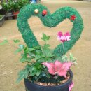 신애농장 이미지