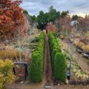 신효동-13 이미지