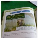 연화마을기업 이미지