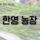 한영농장 이미지