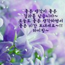 이상네트웍스