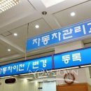 사내조명 Daum카페