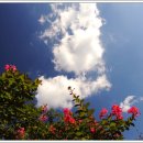 농부의 정원 이미지