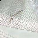 태양카세차장 이미지