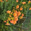 공설운동장 1주차장 화장실 이미지