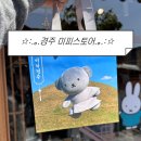 포석로4-2(서) | [경주 미피스토어] 경주 미피스토어 주말 웨이팅 후기 및 굿즈 목록