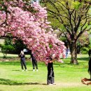 성산패총로-2 이미지