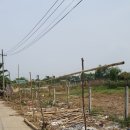 한동대학교 국제개발협력대학원 이미지