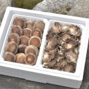 연하리영농조합법인 이미지