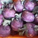 건우 농장 이미지