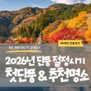 2026년 단풍 절정 시기 언제일까? 올해 단풍 절정 시기 지역별 총정리 이미지