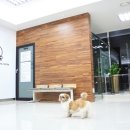 스마트메디컬센터