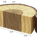 이심재 이미지