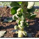 성고농장 이미지