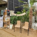 천농장식당 | 동물 먹이가 무제한 무료?! 시흥 동물 먹이주기 체험 모래놀이 온동물체험농장 식당 외부음식 수유실 등