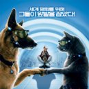 캣츠앤독스 이미지