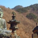 산사에서 경험한 자비심의 기억들 이미지