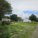 늘푸른영농 | 제주올레길12코스 후기 : 제주 최대 평야지대와 3개 오름에서 서남부를 조망하는 코스 | 제주도한달살기...
