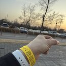 D-23 | 서울 시내 캠핑장 난지캠핑장 D구역 23번 퇴근박 후기