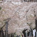 해득금천한의원 이미지