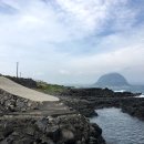 하모리-17 이미지