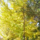 조욱 선생묘 이미지